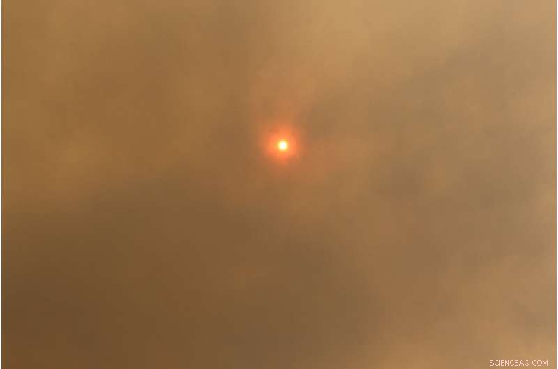 Climate Feedback Loop Increases Bushfire Health Risks, Monash Study Finds