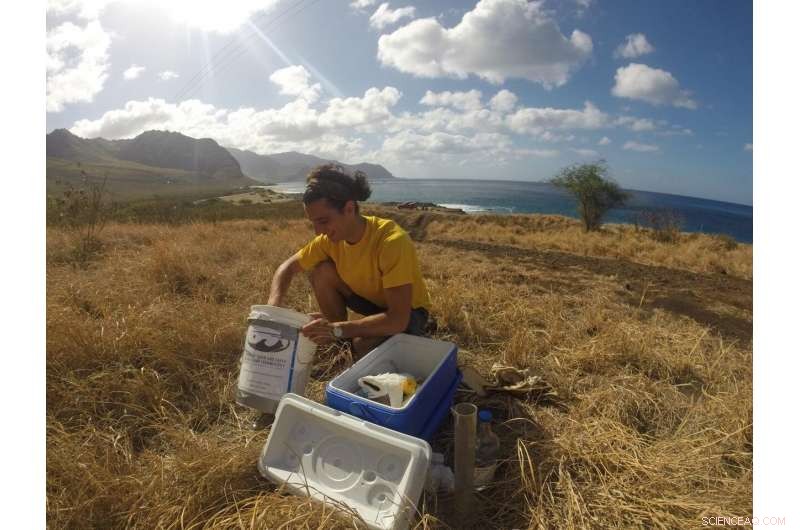 Hurricanes and Heavy Rains Sustain Hawaii’s Groundwater Supply