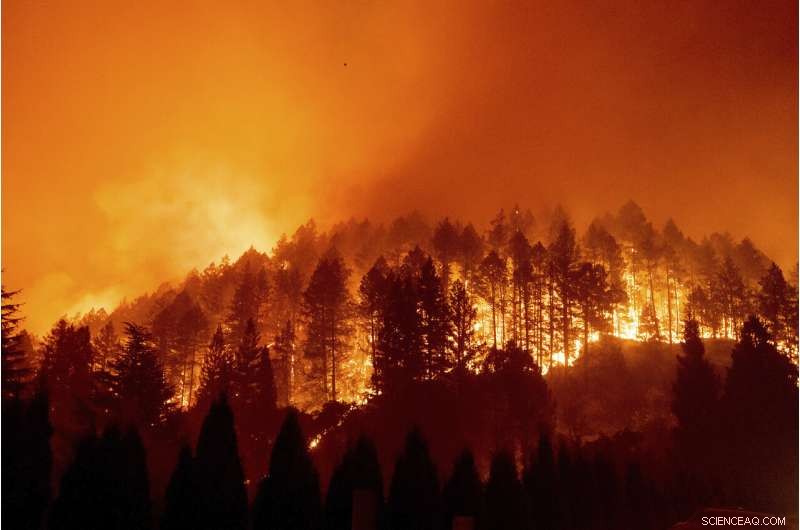 Rapid Response: Fire Crews Deploy to Counter New Threat in Northern California