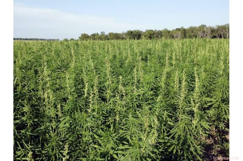 Choosing the Most Eco‑Friendly Milk: Dairy vs. Plant‑Based Varieties