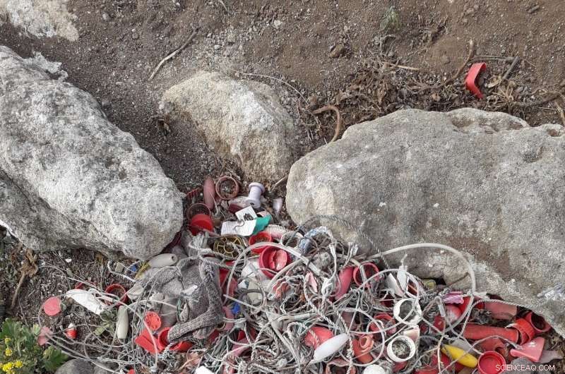 New Study Highlights Plastic Pollution Threats to South Pacific Seabirds