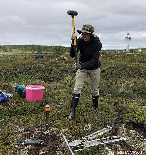 Permafrost Thawing Releases Harmful Organic Compounds Into the Atmosphere