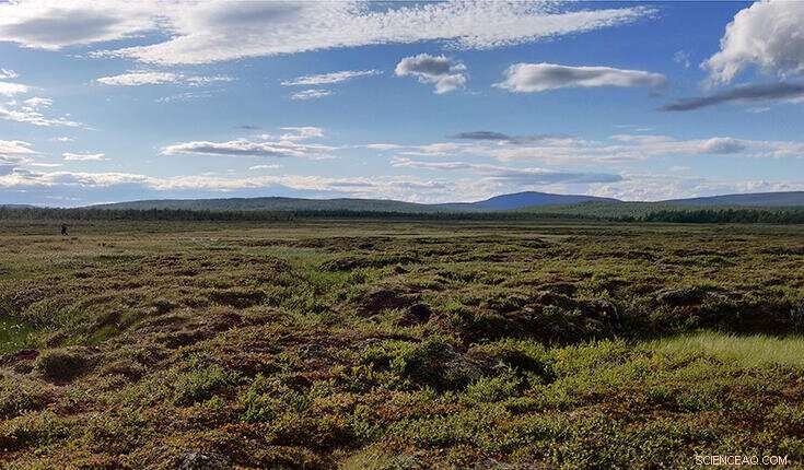 Permafrost Thawing Releases Harmful Organic Compounds Into the Atmosphere