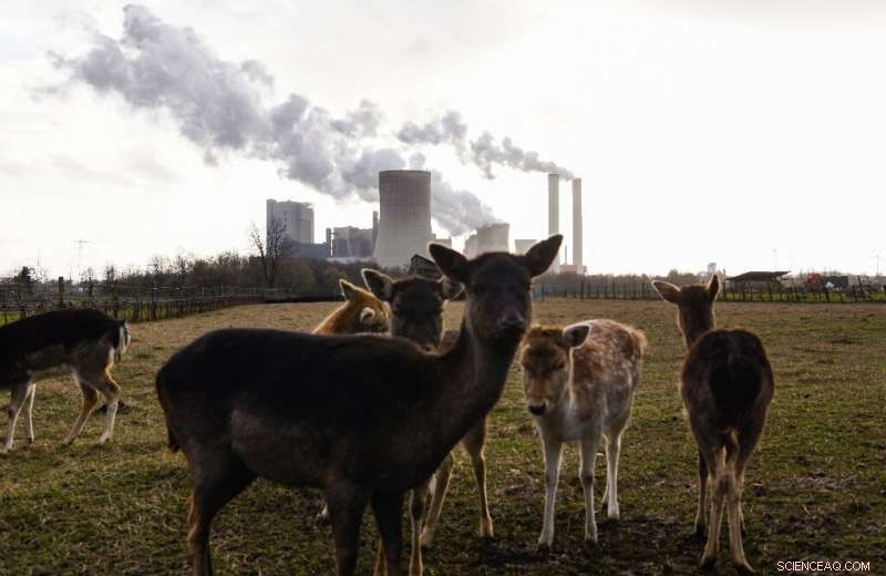 Study Reveals Pandemic Triggered Record Emissions Decline