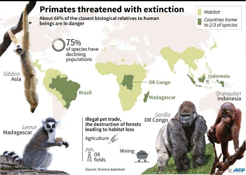 Scientists Launch Lifeline for the Rarest Primate on Earth