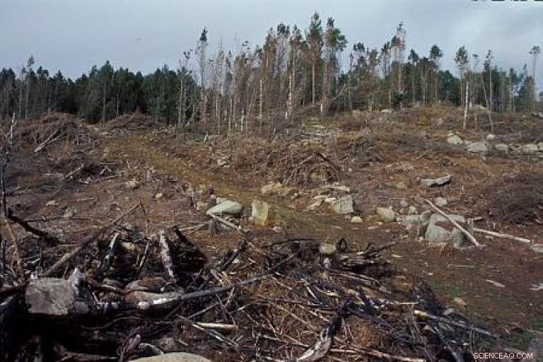 Sustainable Bioeconomy: Key to Safeguarding Freshwater Resources