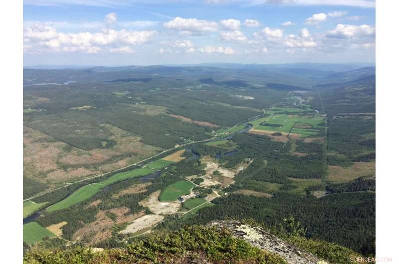 Sustainable Bioeconomy: Key to Safeguarding Freshwater Resources