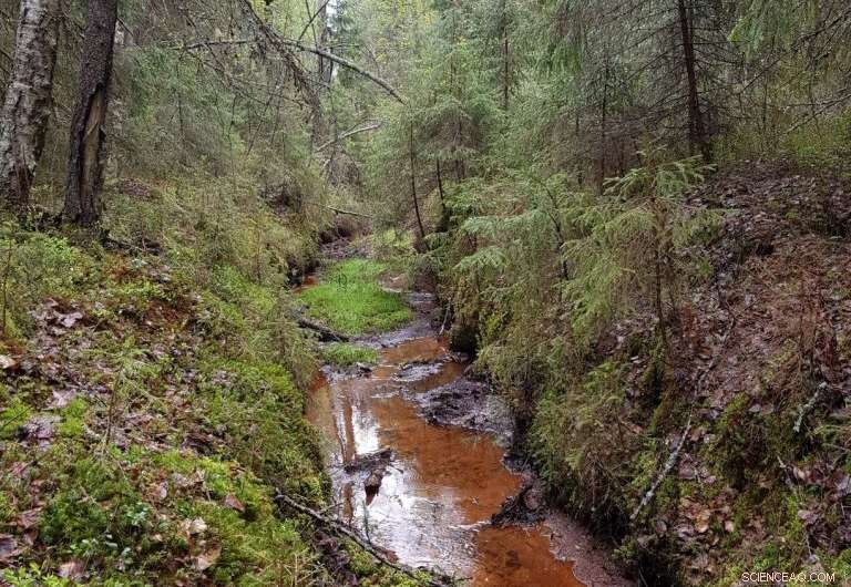 Sustainable Bioeconomy: Key to Safeguarding Freshwater Resources