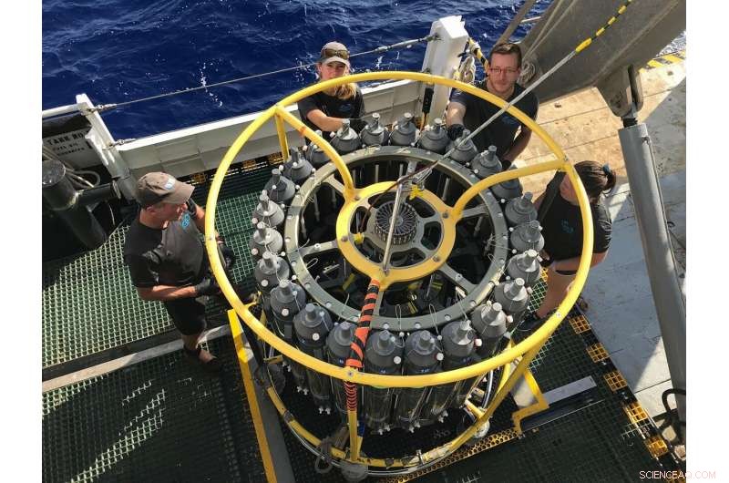 Long-Term Ocean Data Reveal Accelerated Chemical and Physical Transformations