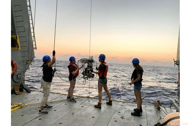 Long-Term Ocean Data Reveal Accelerated Chemical and Physical Transformations