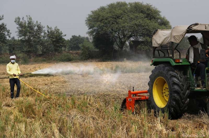 New Delhi Suffers Smog Surge as Agricultural Fires Resurge