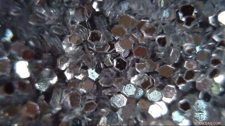 Study Reveals Biodegradable Glitter Still Harmful to Aquatic Ecosystems