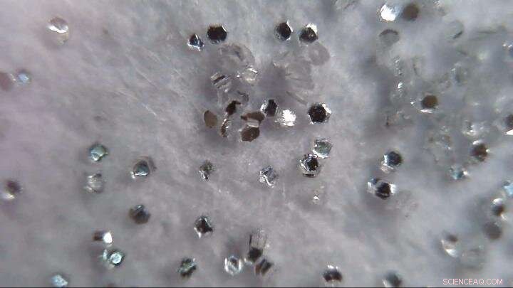 Study Reveals Biodegradable Glitter Still Harmful to Aquatic Ecosystems