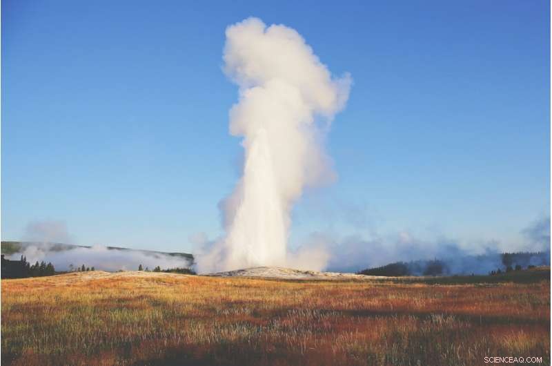 Scientists uncover decades of inactivity at Old Faithful using mineralized wood samples