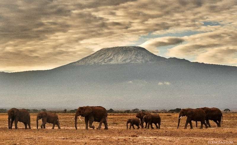 Tanzania Confirms Kilimanjaro Blaze Is Contained