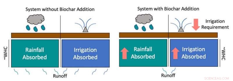 Biochar Enhances Soil Water Retention, Reduces Irrigation Costs