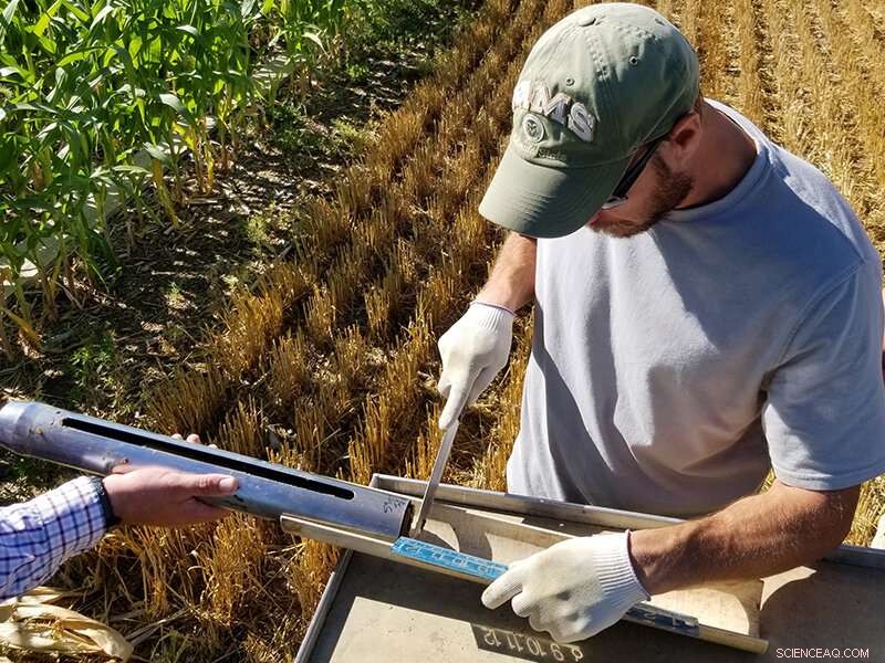 Optimizing Soil Health: Region‑Specific Farming Practices