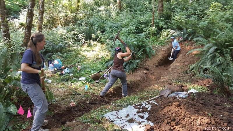 New Findings Reveal Recent Earthquakes on Gales Creek Fault Near Portland