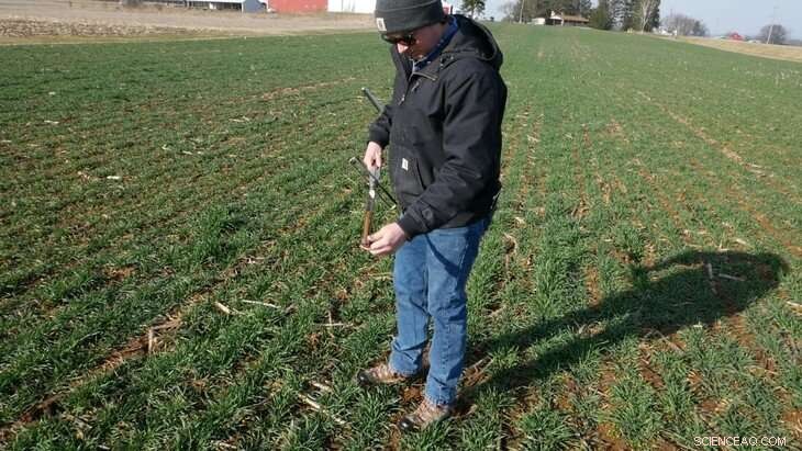 Enhanced Nitrogen Guidance for Corn: Boost Yields & Reduce Pollution