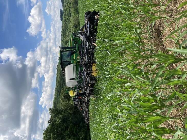 Enhanced Nitrogen Guidance for Corn: Boost Yields & Reduce Pollution