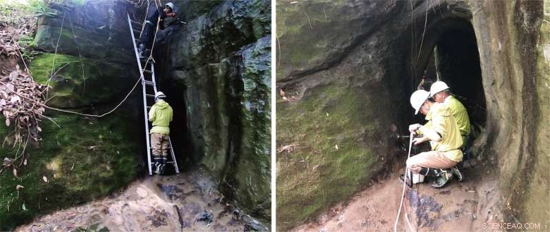 Comprehensive New Record of Earth s Final Magnetic Field Reversal Revealed