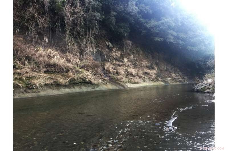 Comprehensive New Record of Earth s Final Magnetic Field Reversal Revealed