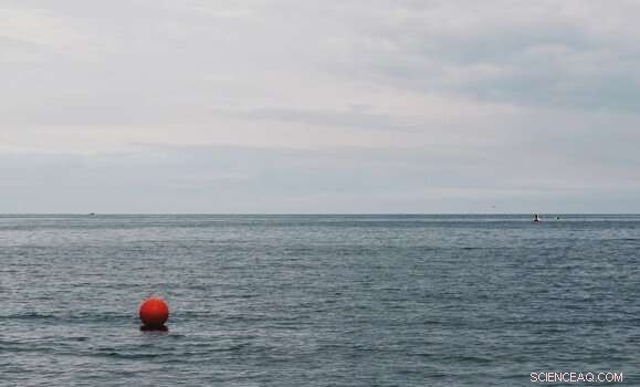 Dalhousie Researchers Create AI Model to Enhance Safety and Decision-Making in Halifax Harbour