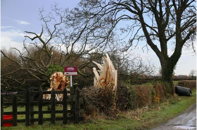 First‑Ever Tool Lets UK Forecasters Predict Tornadoes on Cold Fronts