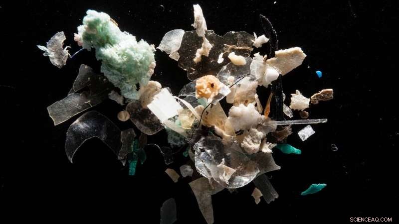 Scientists Propose Circular Solution: Using Marine Microplastics to Clean Oceans