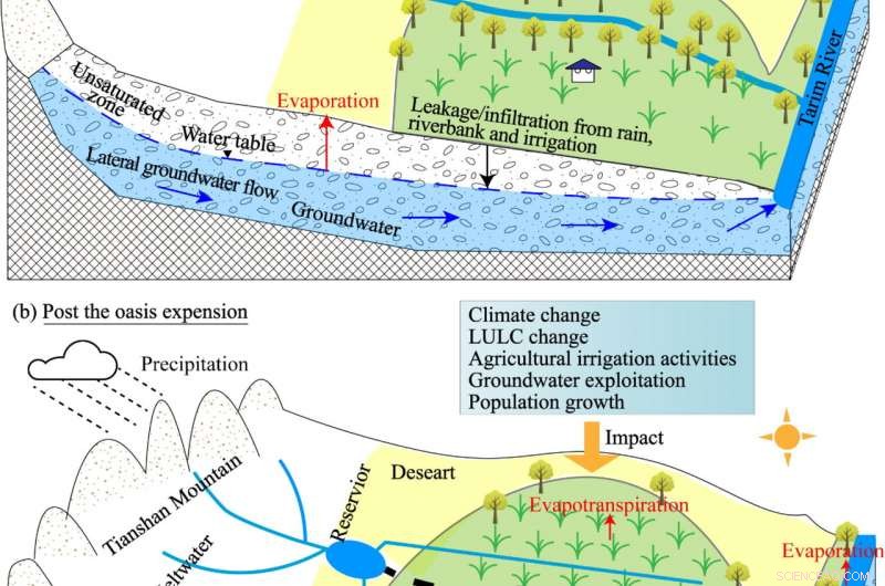Groundwater Dynamics in Tarim Basin’s Oasis: Scientific Insight into Evolution, Drivers, and Climate Impacts