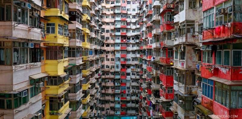 Why Environmentalists Must Address Population Growth