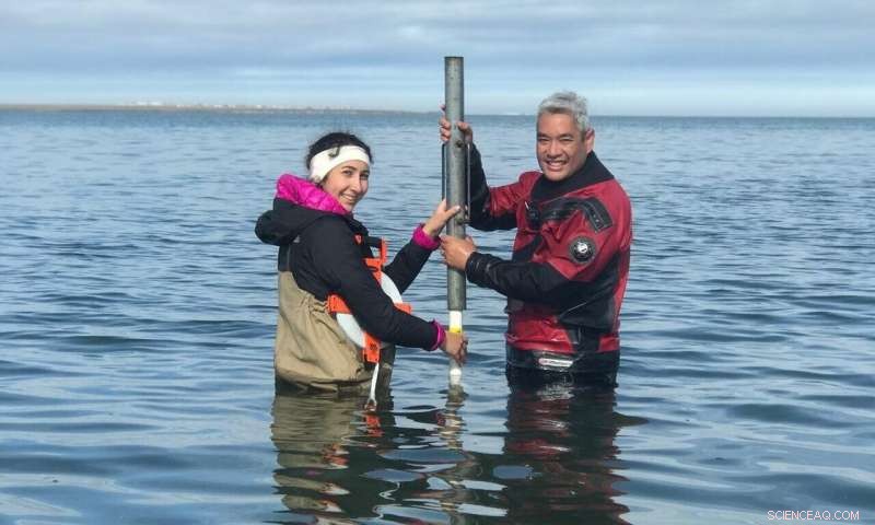 Coastal Permafrost at Greater Risk from Climate Change Than Previously Estimated