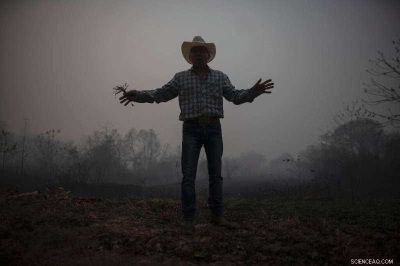 South America Grapples with Unprecedented Drought and Wildfires