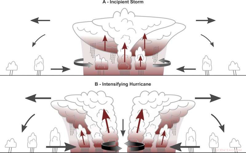 Cloud Greenhouse Effect Drives Tropical Storm Formation