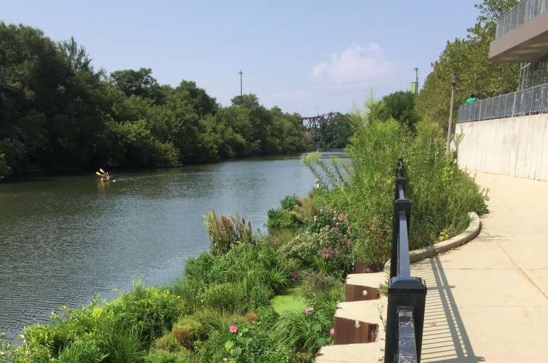 Floating Gardens: Unveiling Their Ecological Significance