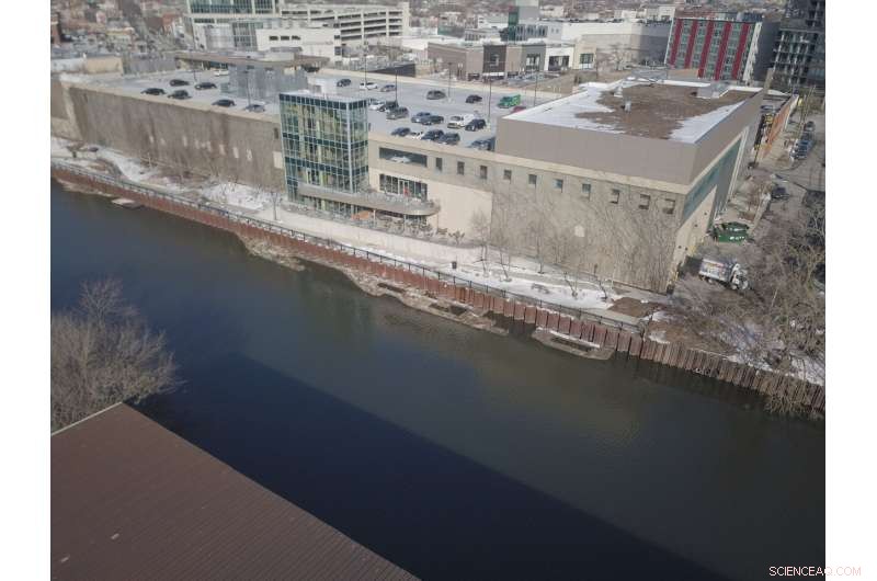 Floating Gardens: Unveiling Their Ecological Significance