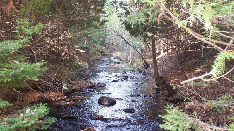 How Small Streams Shape the Great Lakes: Insights from a Summer Road Trip