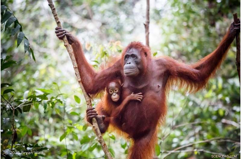 Accessible Healthcare: A Vital Tool in Combating the Climate Crisis