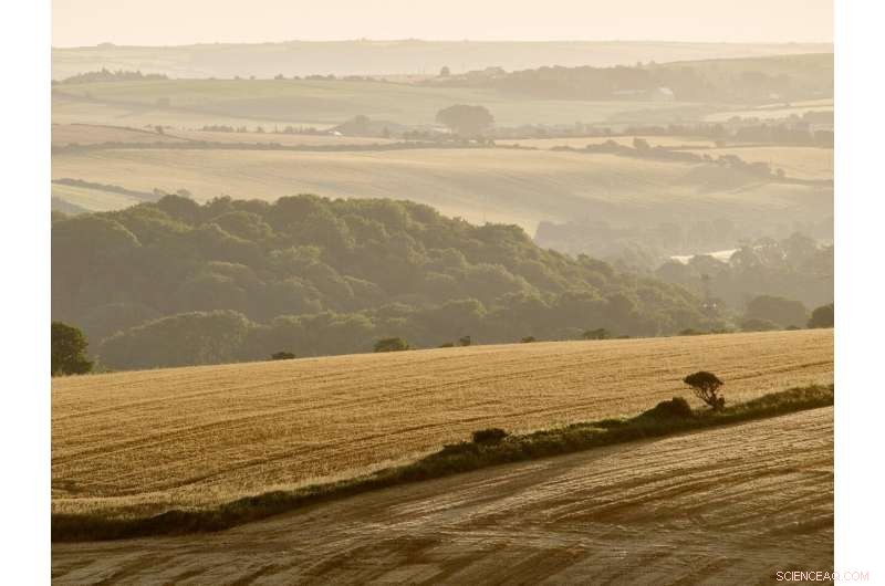 Harnessing Soil to Combat Climate Change