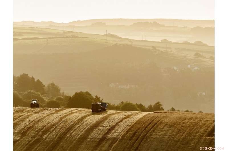 Harnessing Soil to Combat Climate Change
