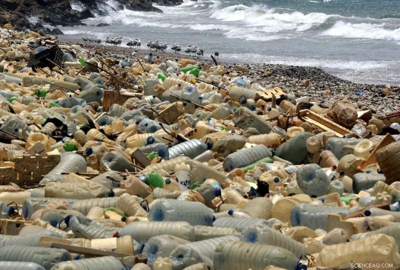 Mediterranean Sea Plastic Dumping Set to Double in Two Decades, New Report Warns