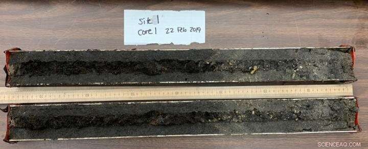 Stronger Hurricanes Threaten Florida’s West Coast – Stay Prepared