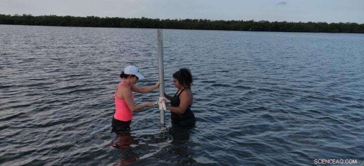 Stronger Hurricanes Threaten Florida’s West Coast – Stay Prepared