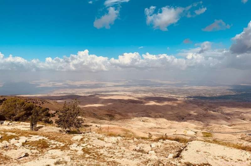 Africa s Reforestation Plans Face Key Challenges