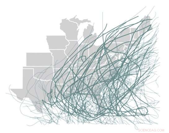 New County-Level Dataset Illuminates Tropical Cyclone Exposure and Human Health Impacts