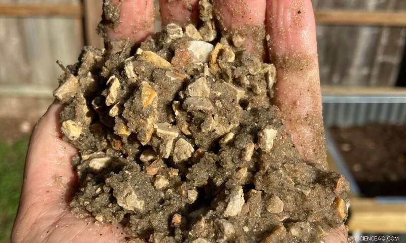 Tracing Illicit Sand Sources: Is Identification Feasible?