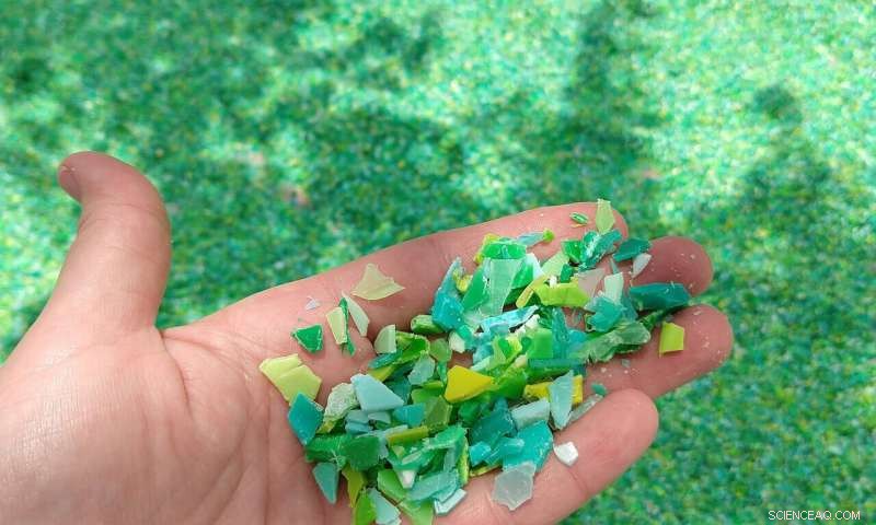 US Ranked Third in Global Coastal Plastic Pollution, Study Reveals