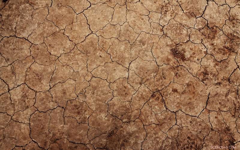 University of Queensland Study Predicts Rising Mega‑Droughts Amid Climate Change