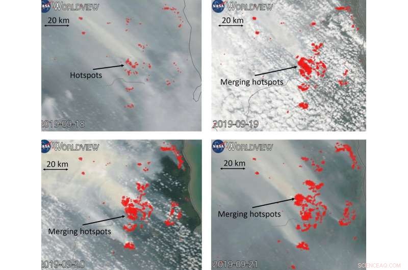 New Research Shows How Soil Moisture Can Suppress Peatland  Zombie Fires 