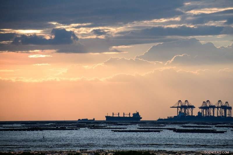 Japan s 2050 Carbon‑Neutral Plan Fuels Optimism for Ammonia